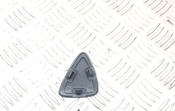Renault Clio III Other front door trim element 21996140 NYH2095