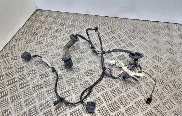 Front door wiring loom
