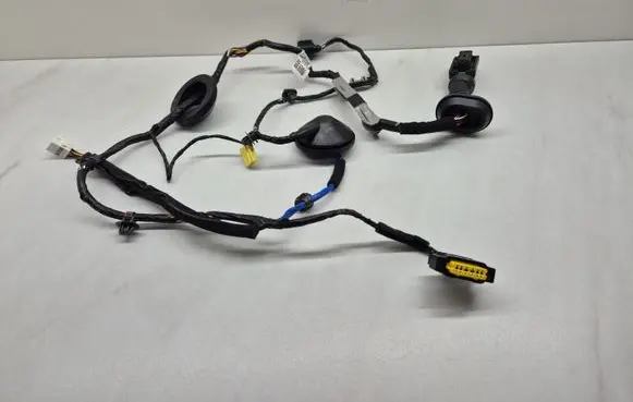 Hyundai Santa Fe Rear door wiring loom 91631S1230
