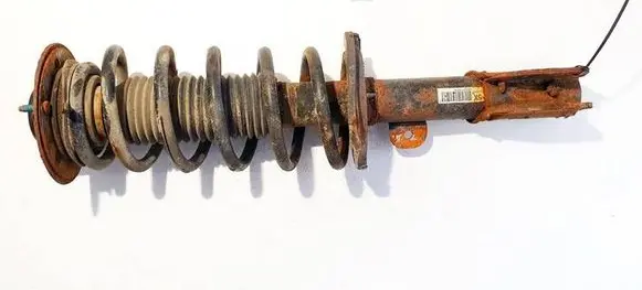 Chevrolet Captiva Front shock absorber/damper