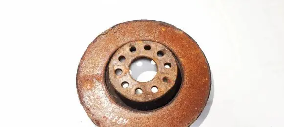 Volkswagen Tiguan Front brake disc ventiliuojamas