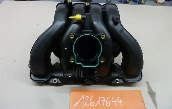 Opel Antara Intake manifold 12617644T