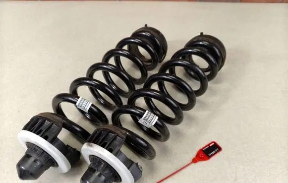 BMW 3 G20 G21 Rear coil spring 6898649