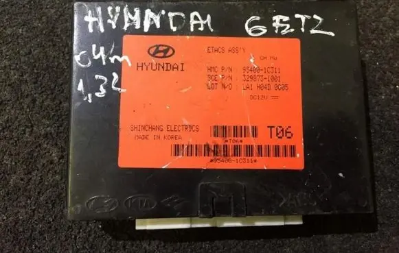 Hyundai Getz Other control units/modules 954001c311 329873-1001