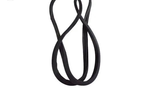 Hyundai Santa Fe Rubber seal front door (on door)