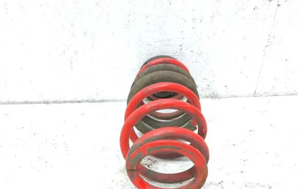 Volkswagen PASSAT B6 Rear coil spring