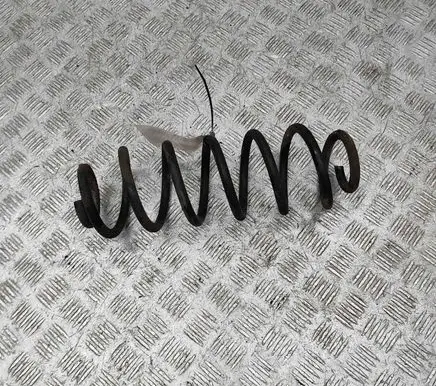 Volkswagen New Beetle Rear coil spring 1J0511115BR