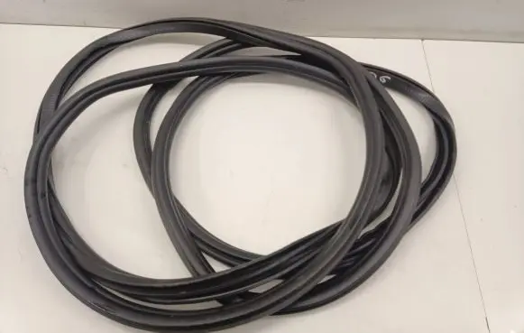 BMW iX Rubber seal rear door 8491416 22336711DE