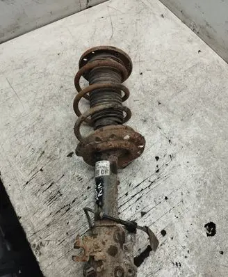 Opel Signum Front shock absorber with coil spring 824903554596 13118711