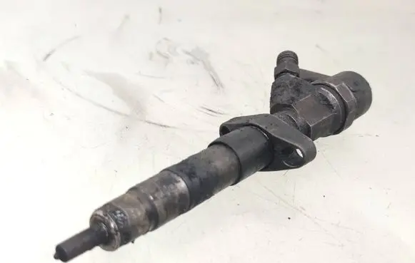 Renault Espace - Grand espace IV Fuel injector 8200084534 0445110084