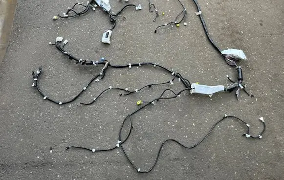 Toyota Sienna XL40 IV Other wiring loom 8216208B41