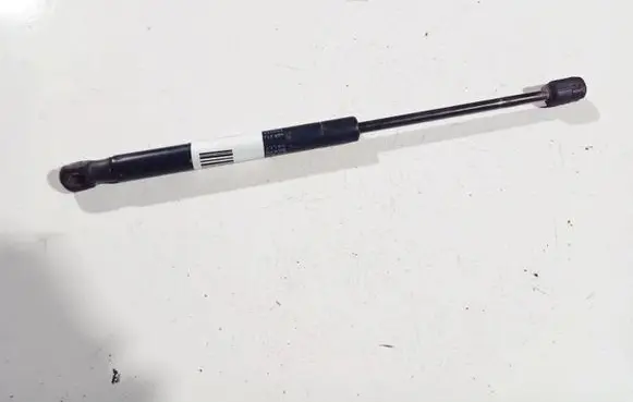 Infiniti QX50 (J50) Tailgate/trunk strut/damper