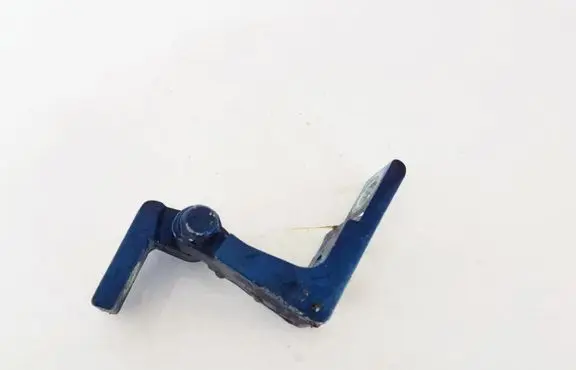 Porsche Cayenne (9PA) Rear door lower hinge