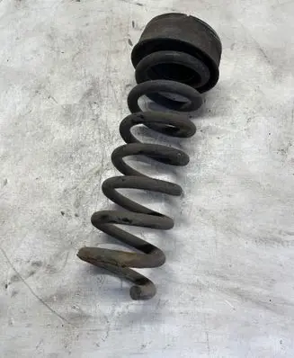 Rear coil spring