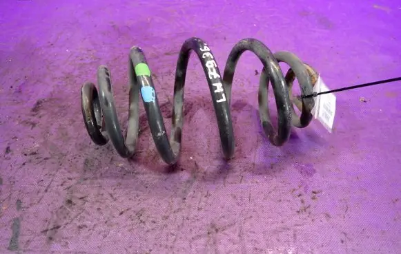 Rear coil spring