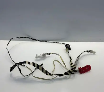 Mercedes-Benz S W221 Rear door wiring loom 2214408209 A2214408209