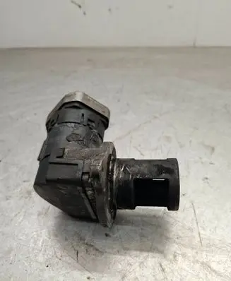 EGR valve