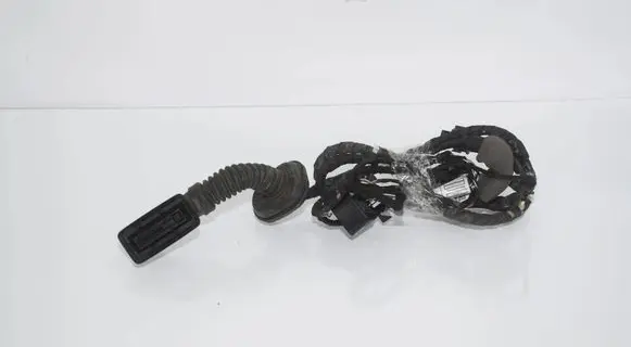 BMW 5 G30 G31 G38 Rear door wiring loom 5A085E8 61125A085E8