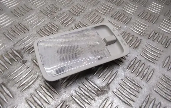 Nissan Leaf I (ZE0) Rear seat light