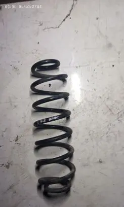 Skoda Roomster (5J) Rear coil spring
