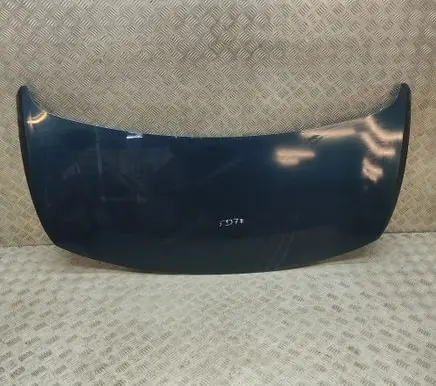 Cupra Born Engine bonnet/hood 10E823031C