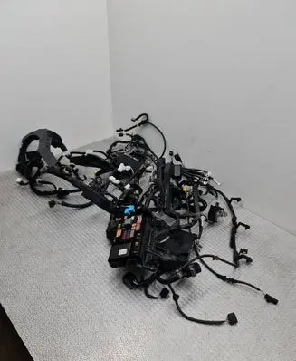 Toyota Prius (XW50) Wiring harness 