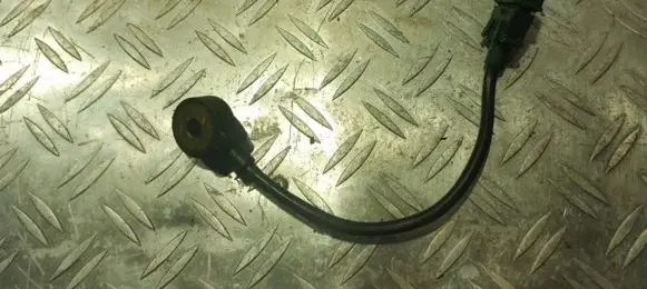Citroen Xantia Detonation knock sensor 0261231109