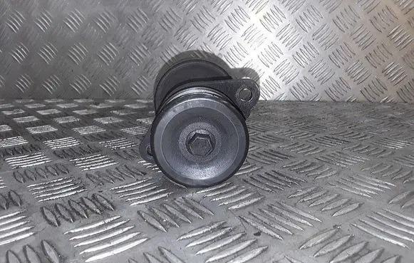 Ford Focus Alternator pulley 