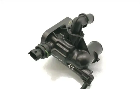 Fiat Doblo Thermostat/thermostat housing 55233327