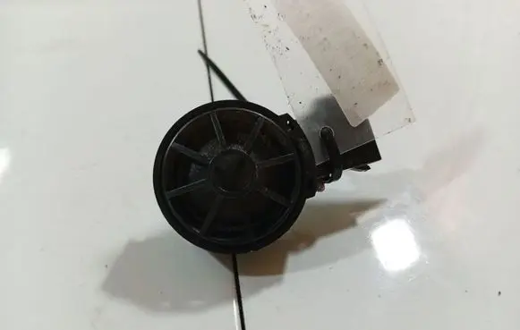 Front door speaker