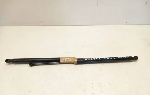 Tailgate/trunk strut/damper