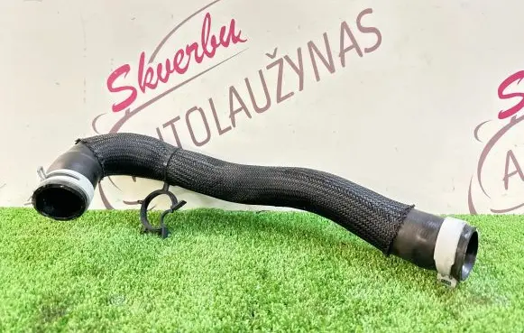 Ford Kuga III Engine coolant pipe/hose LX618B555HAF LX618B555