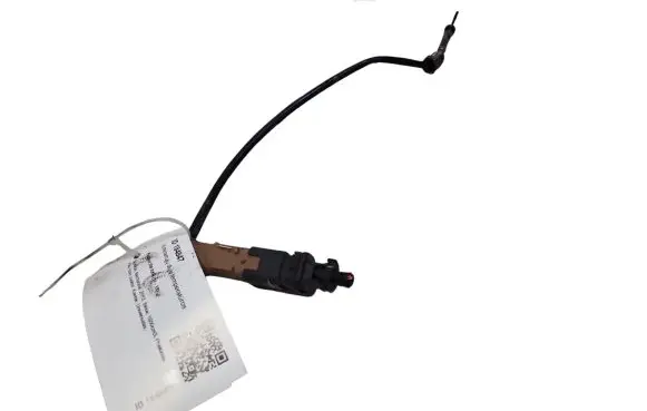 Exhaust gas temperature sensor