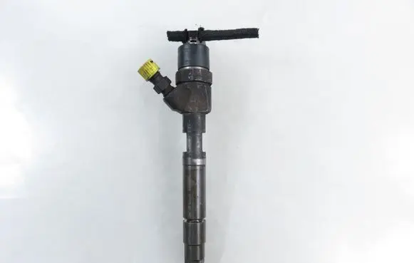 Smart ForTwo I Fuel injector 6600700187 0445110023