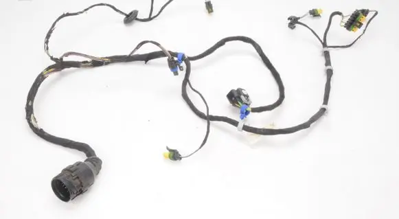 Maserati Quattroporte Other wiring loom DRZWI LEWY TYŁ