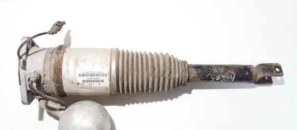 Volkswagen Phaeton Rear shock absorber/damper 3d0616001k use