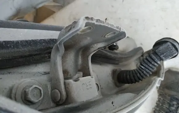Rear door lower hinge