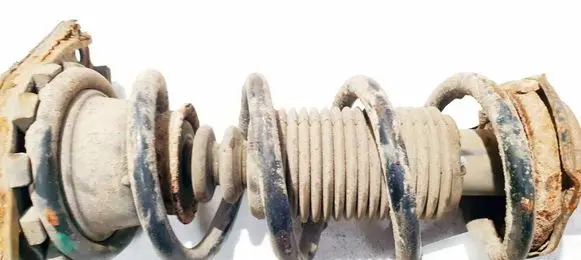 Nissan Almera Tino Rear coil spring 