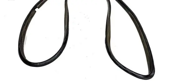 Toyota Prius (XW20) Front door rubber seal 