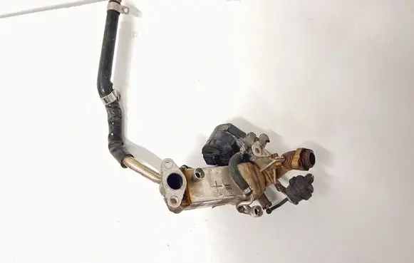 BMW 3 E90 E91 EGR valve 780544606