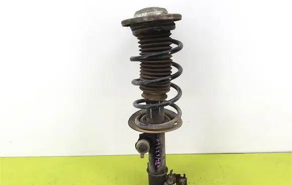 Opel Vectra C Front shock absorber with coil spring