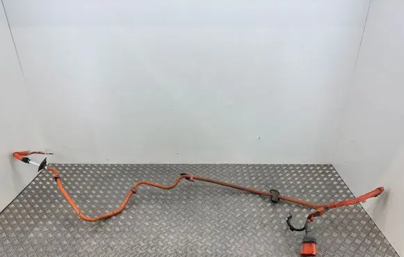 Honda Insight Other wiring loom 1F010RBJ0230