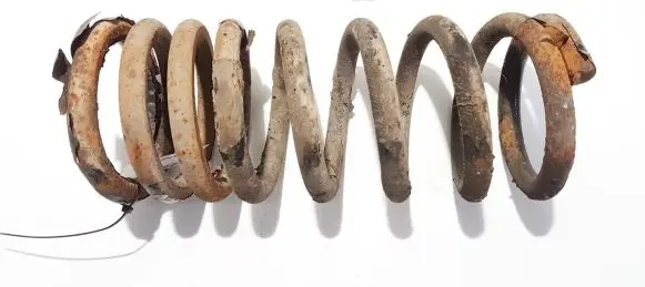 KIA Carnival Rear coil spring
