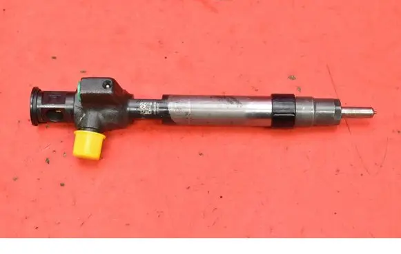 Citroen C5 Fuel injector 9674984080