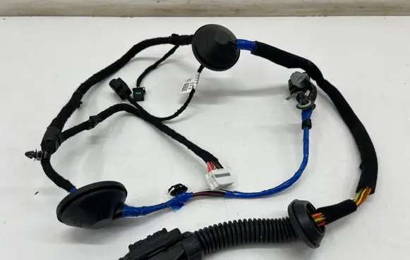 KIA EV6 Rear door wiring loom 91620CV280A