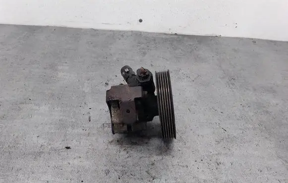 Citroen Berlingo Power steering pump