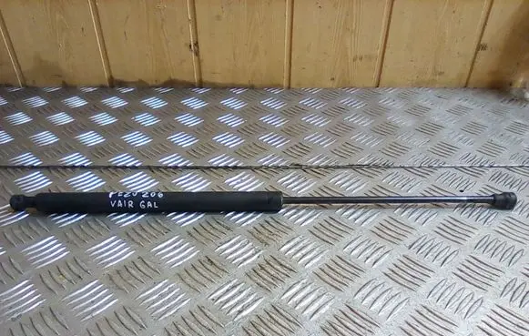 Peugeot 206 Tailgate/trunk strut/damper 9631441380