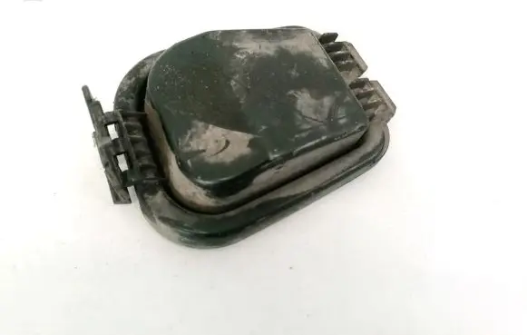 Headlight/headlamp dust cover