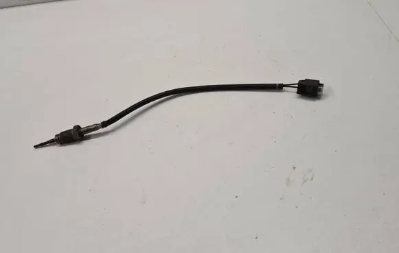 Exhaust gas temperature sensor