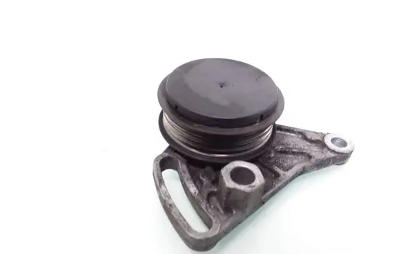 Volkswagen PASSAT B5.5 Air conditioning tensioner F230875